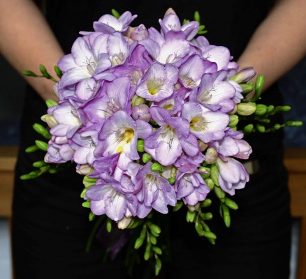 freesia-bouquets-wonderful