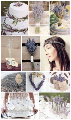 lavender-wedding-ideas