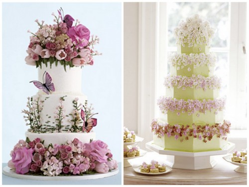 new-sylvia-wei56-cakes