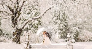 11 чудесных вещей о зимних свадьбах