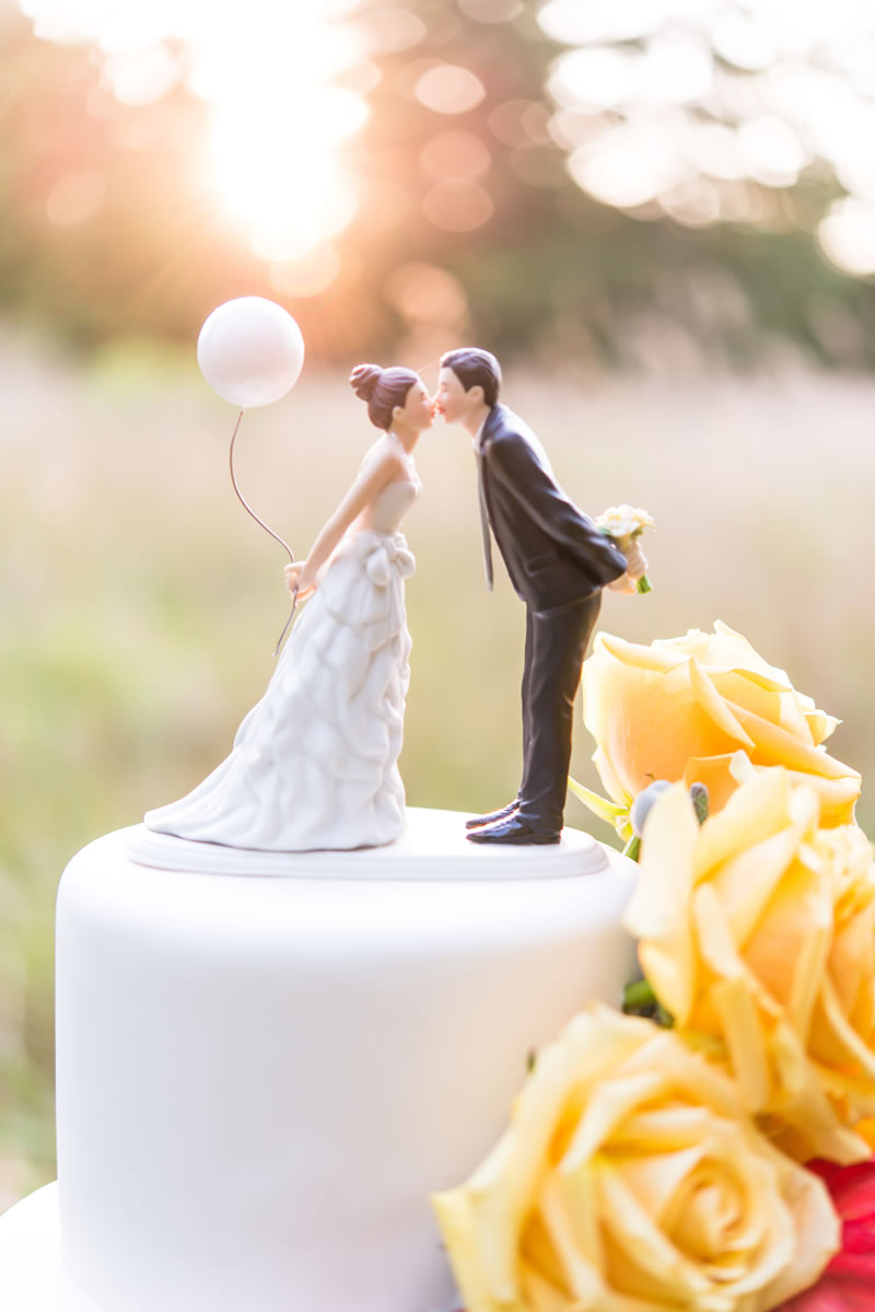 Все, что Вы должны знать о выборе свадебного торта