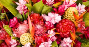 Использование и доставка экзотических цветов для свадебного декора