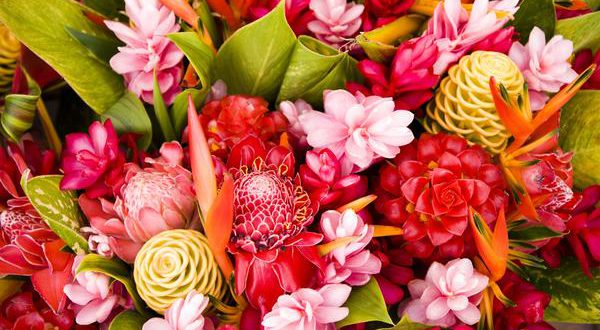 Использование и доставка экзотических цветов для свадебного декора