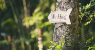 Стоит ли бронировать место для свадьбы до помолвки?