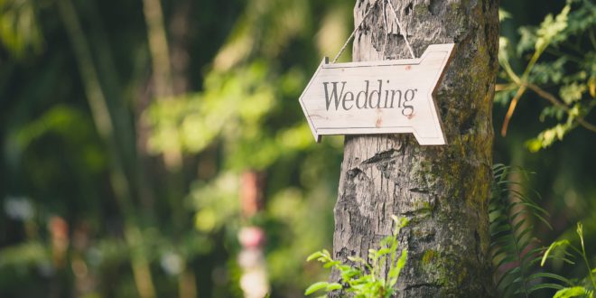Стоит ли бронировать место для свадьбы до помолвки?