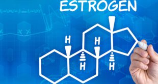 Новое исследование показывает, что эстроген сохраняет женское тело сильным и острым умом.