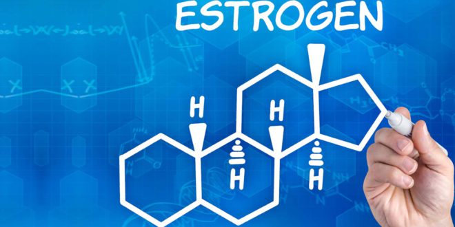 Новое исследование показывает, что эстроген сохраняет женское тело сильным и острым умом.