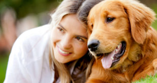 Новое исследование показывает, что всего 10 минут общения с собакой могут помочь уменьшить боль