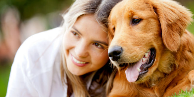 Новое исследование показывает, что всего 10 минут общения с собакой могут помочь уменьшить боль