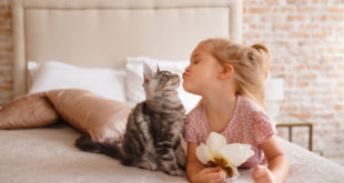 Удивительные способы, которыми ваша кошка говорит «Я тебя люблю »