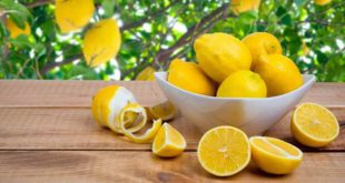 Стоит ли охлаждать лимоны?