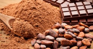 Научные данные подтверждают, что потребление шоколада снижает риск сердечно-сосудистых заболеваний