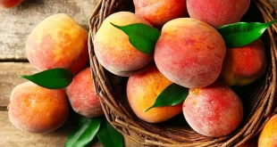 Как хранить спелые персики?