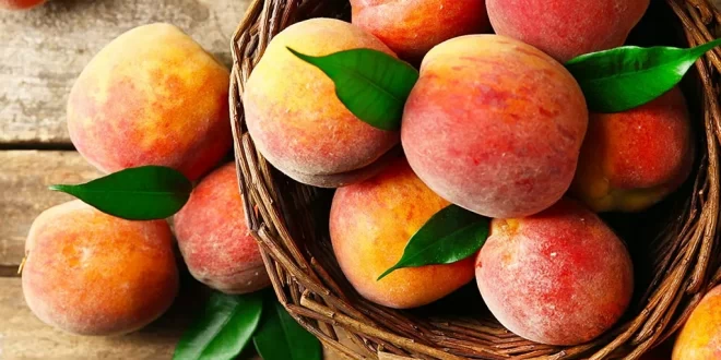 Как хранить спелые персики?