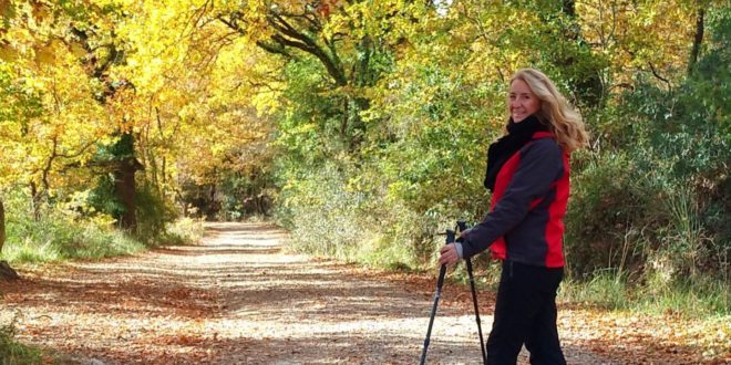 Ежедневная 15-минутная прогулка полезна не только для тела, но и для здоровья мозга