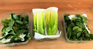 Как покупать, хранить и мыть салат и все виды салатной зелени