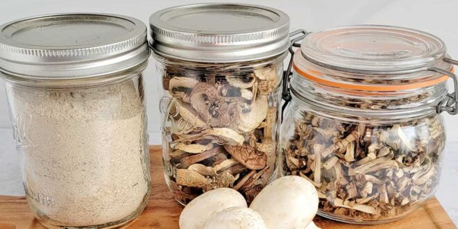 Как хранить грибы, чтобы они оставались свежими