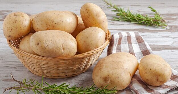 Как правильно хранить картофель и предотвратить его прорастание