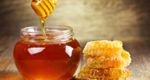 Как правильно хранить мед для сохранения его максимальной свежести