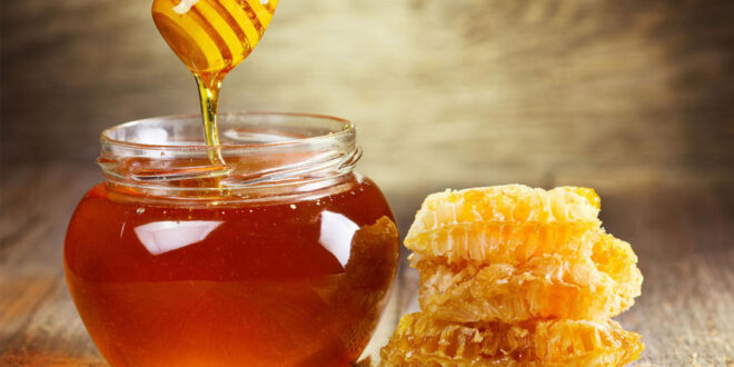 Как правильно хранить мед для сохранения его максимальной свежести