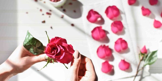 Как засушить (прессование) розы и другие красивые цветы