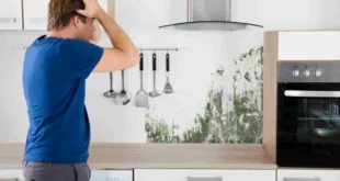 Тонкие признаки того, что на вашей кухне скрывается плесень