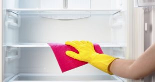 Что делать (и чего не делать), если вы обнаружили плесень в холодильнике