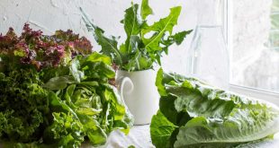 Как хранить салат, чтобы он оставался свежим в течение 2 недель и более