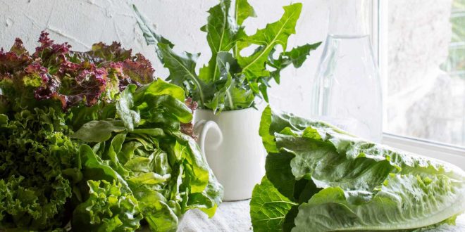 Как хранить салат, чтобы он оставался свежим в течение 2 недель и более
