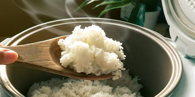 Как безопасно хранить вареный рис и лучший способ его разогреть