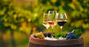 Как выбрать идеальную бутылку вина для любого приглашения