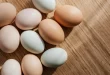 Питательные различия между куриными и  утиными яйцами