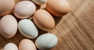 Питательные различия между куриными и  утиными яйцами