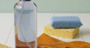 Как профессионалы используют водку для идеальной чистоты дома