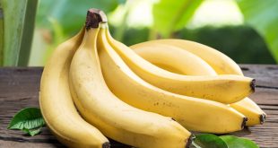 Какова польза бананов для здоровья?